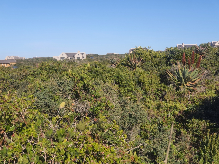 0 Bedroom Property for Sale in Boggomsbaai Western Cape